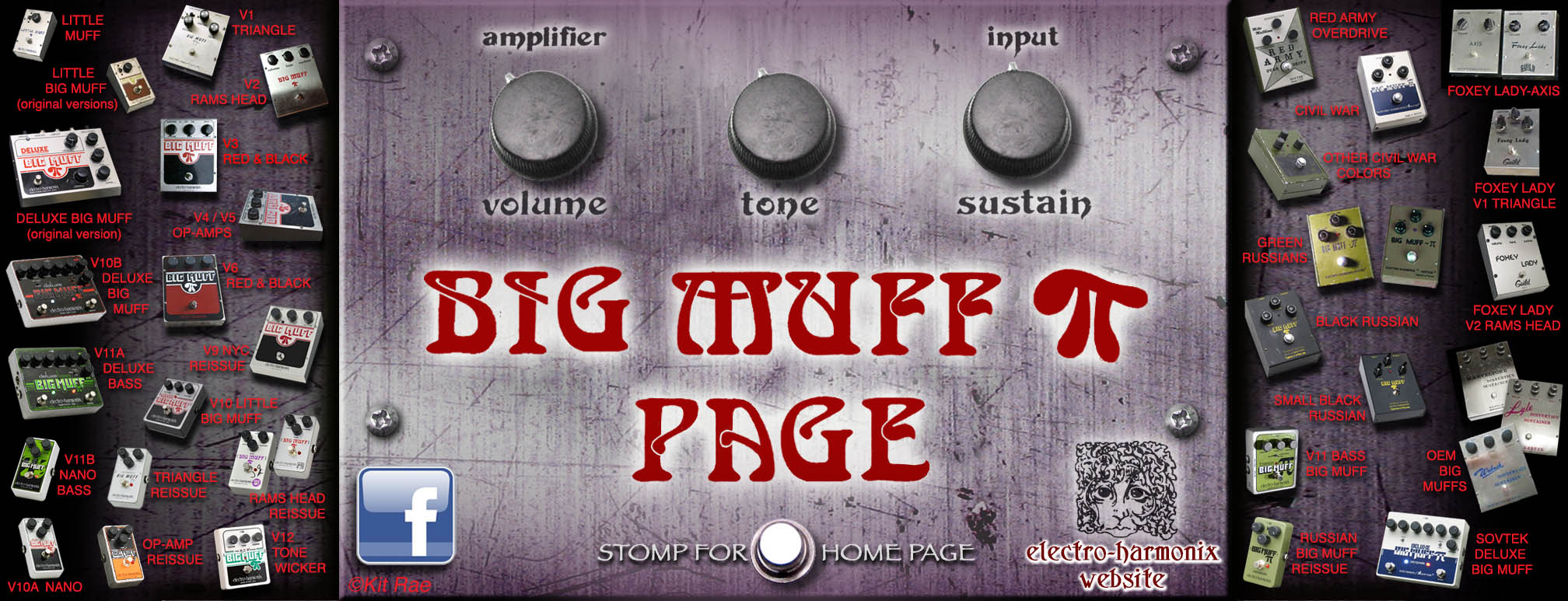 The Big Muff History of All Versions 3